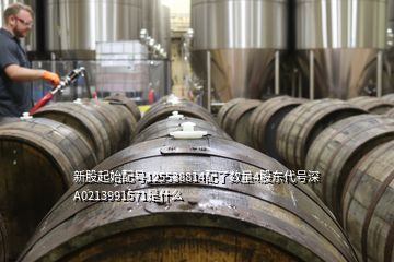 新股起始配號125538814配了數(shù)量4股東代號深A(yù)0213991571是什么