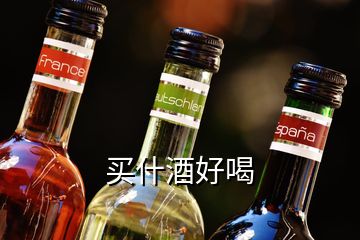 買(mǎi)什酒好喝