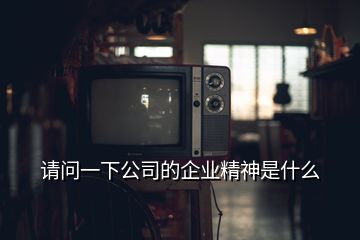 請(qǐng)問一下公司的企業(yè)精神是什么