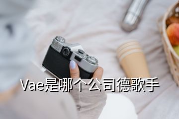 Vae是哪個(gè)公司德歌手