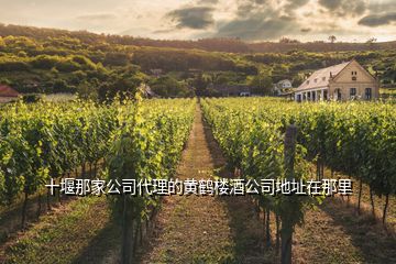 十堰那家公司代理的黃鶴樓酒公司地址在那里