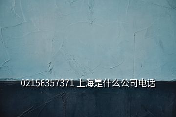 02156357371 上海是什么公司電話