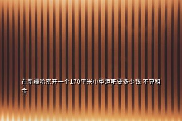 在新疆哈密開一個170平米小型酒吧要多少錢 不算租金