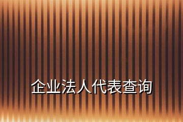 企業(yè)法人代表查詢