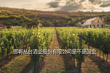 邯鄲叢臺酒業(yè)股份有限公司是不是國企