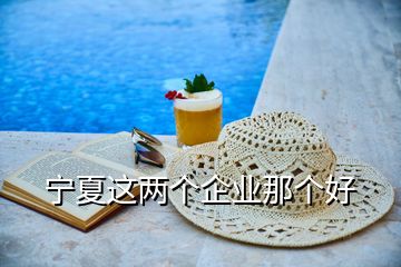 寧夏這兩個企業(yè)那個好