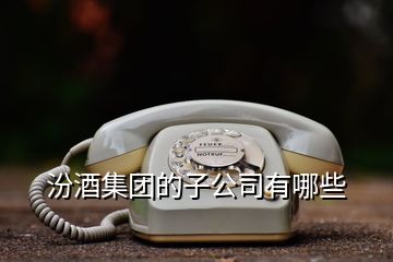 汾酒集團的子公司有哪些