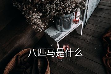 八匹馬是什么