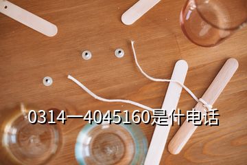 0314一4045160是什電話