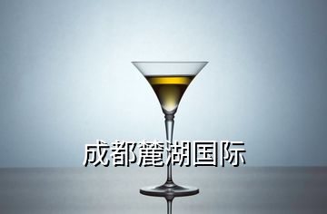 成都麓湖國際