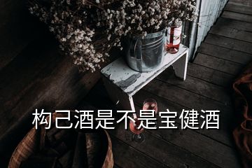 構(gòu)己酒是不是寶健酒