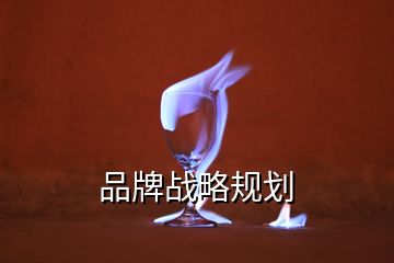 品牌戰(zhàn)略規(guī)劃