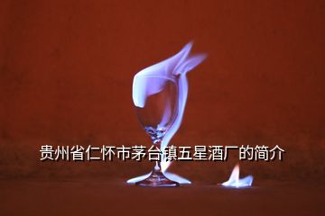 貴州省仁懷市茅臺(tái)鎮(zhèn)五星酒廠的簡(jiǎn)介