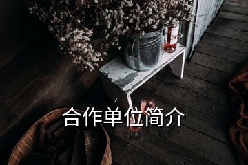 合作單位簡(jiǎn)介