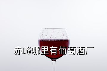 赤峰哪里有葡萄酒廠