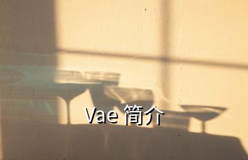 Vae 簡(jiǎn)介