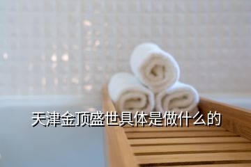 天津金頂盛世具體是做什么的