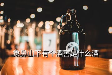 象鼻山下有個(gè)酒窖是什么酒