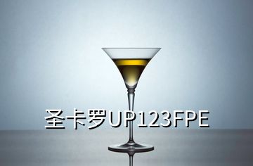 圣卡羅UP123FPE