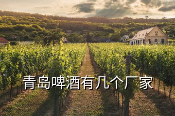 青島啤酒有幾個(gè)廠家