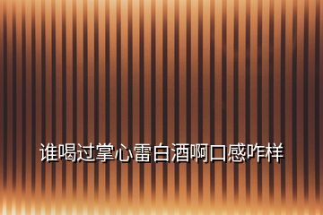 誰(shuí)喝過(guò)掌心雷白酒啊口感咋樣