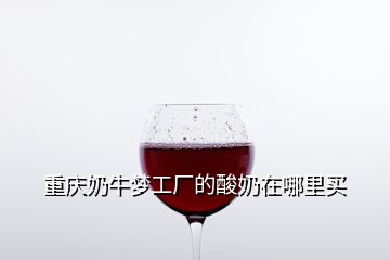 重慶奶牛夢(mèng)工廠的酸奶在哪里買