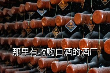 那里有收購(gòu)白酒的酒廠