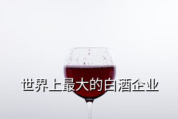 世界上最大的白酒企業(yè)