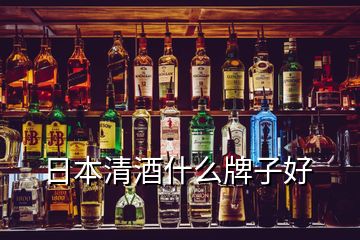 日本清酒什么牌子好