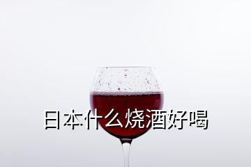 日本什么燒酒好喝