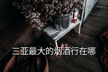 三亞最大的煙酒行在哪