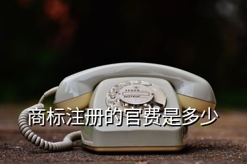 商標(biāo)注冊(cè)的官費(fèi)是多少