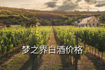 夢之界白酒價(jià)格