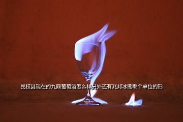 民權(quán)縣現(xiàn)在的九鼎葡萄酒怎么樣另外還有兆邦冰熊哪個(gè)單位的形