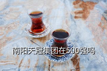 南陽天冠集團在500強嗎