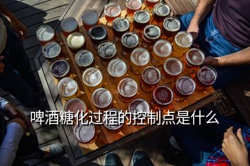 啤酒糖化過(guò)程的控制點(diǎn)是什么