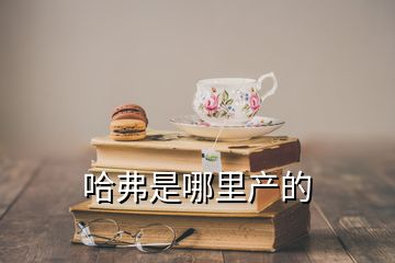 哈弗是哪里產(chǎn)的