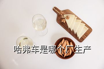 哈弗車是哪個(gè)廠生產(chǎn)