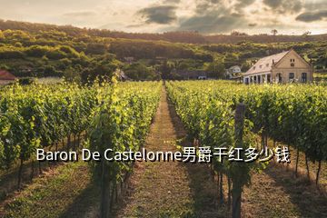 Baron De Castelonne男爵干紅多少錢(qián)