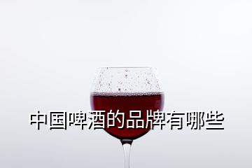 中國(guó)啤酒的品牌有哪些