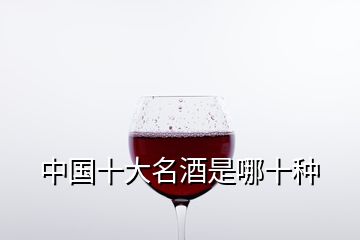 中國十大名酒是哪十種