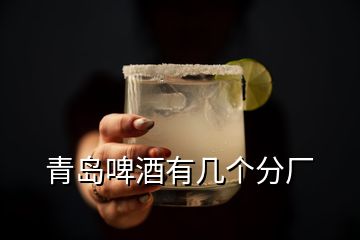 青島啤酒有幾個分廠