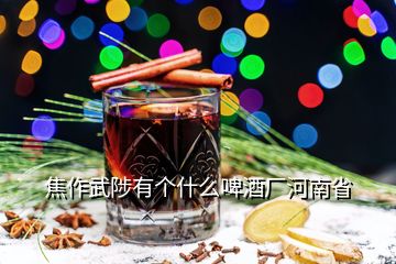 焦作武陟有個什么啤酒廠河南省