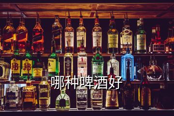 哪種啤酒好