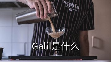 Galil是什么