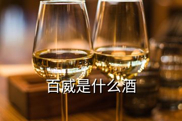 百威是什么酒