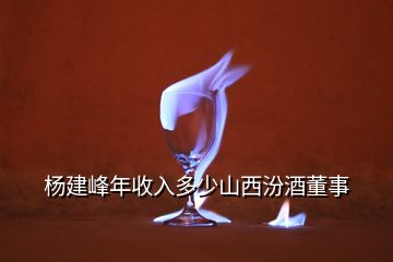 楊建峰年收入多少山西汾酒董事