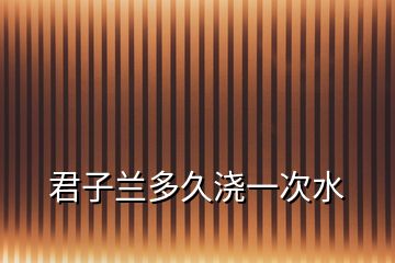 君子蘭多久澆一次水