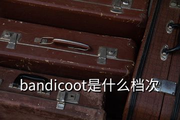 bandicoot是什么檔次