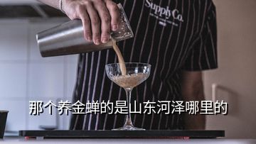 那個養(yǎng)金蟬的是山東河澤哪里的